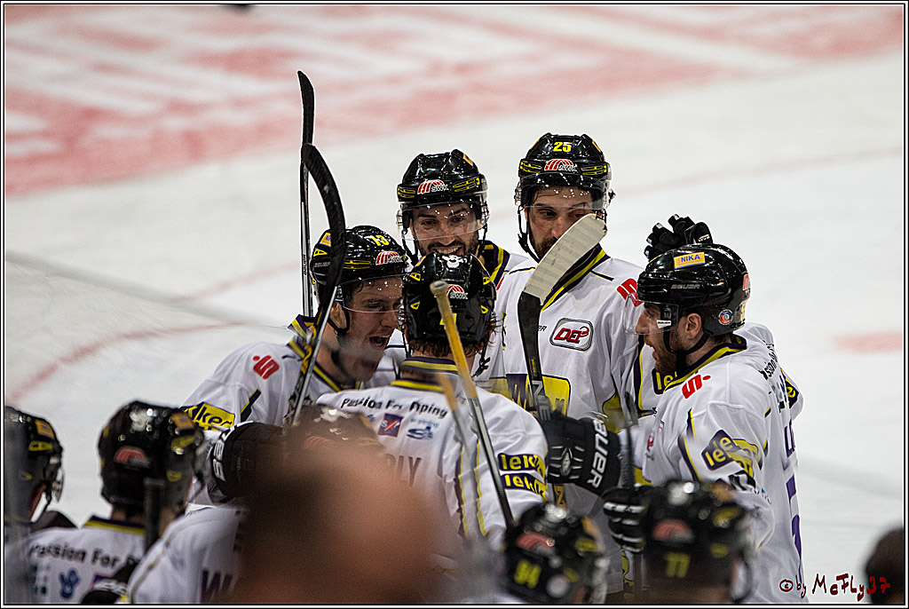 Koelner Haie - Krefelder Pinguine, 22.11.2016